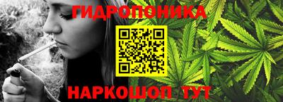 амф Кимры