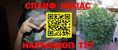 амф Кимры