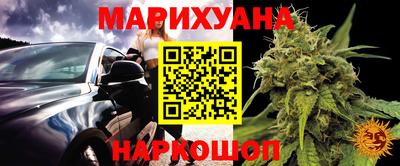 крисы Кинель